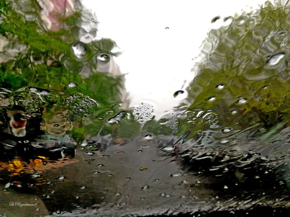 Photograph by Дмитрий Розенбаум