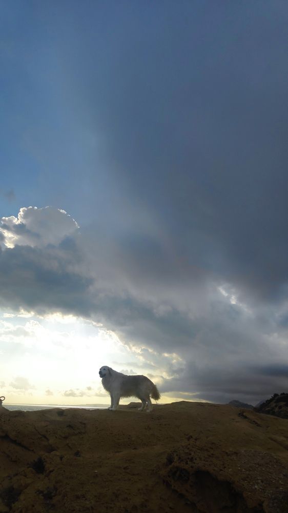 Photograph by Karine Galustova