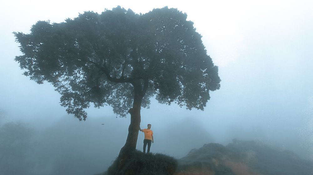 Photograph by aqib ali