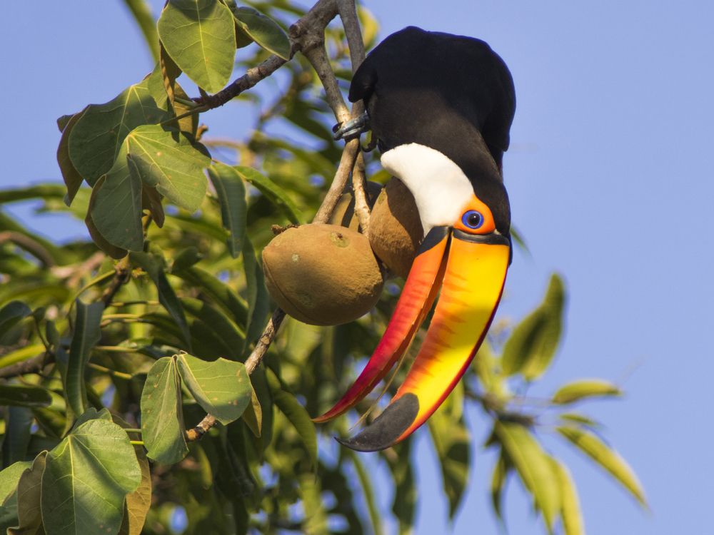 Photograph by Сергей Волков