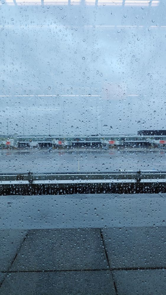 Photograph by Karine Galustova