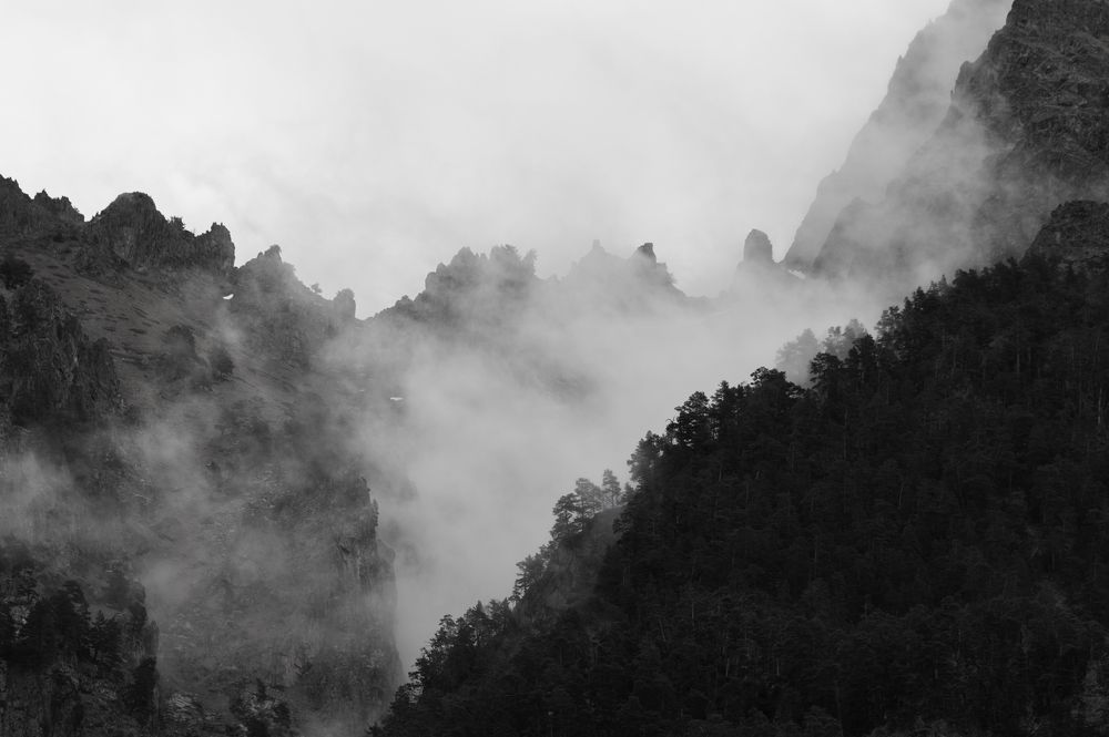 Туман в горах