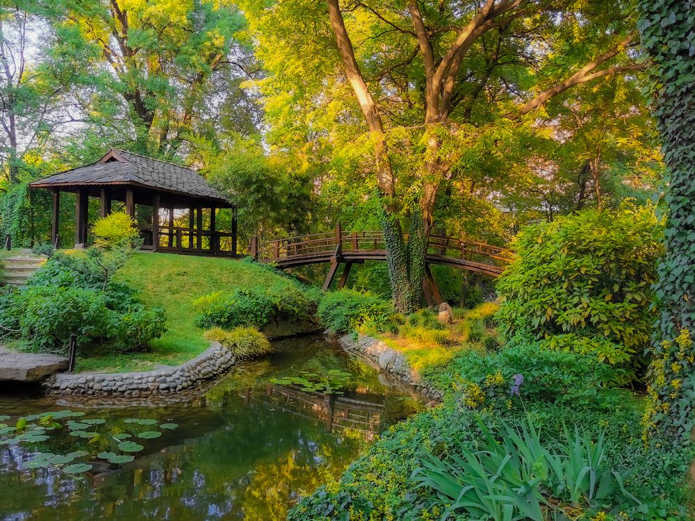 Photograph by Dragan Jekić