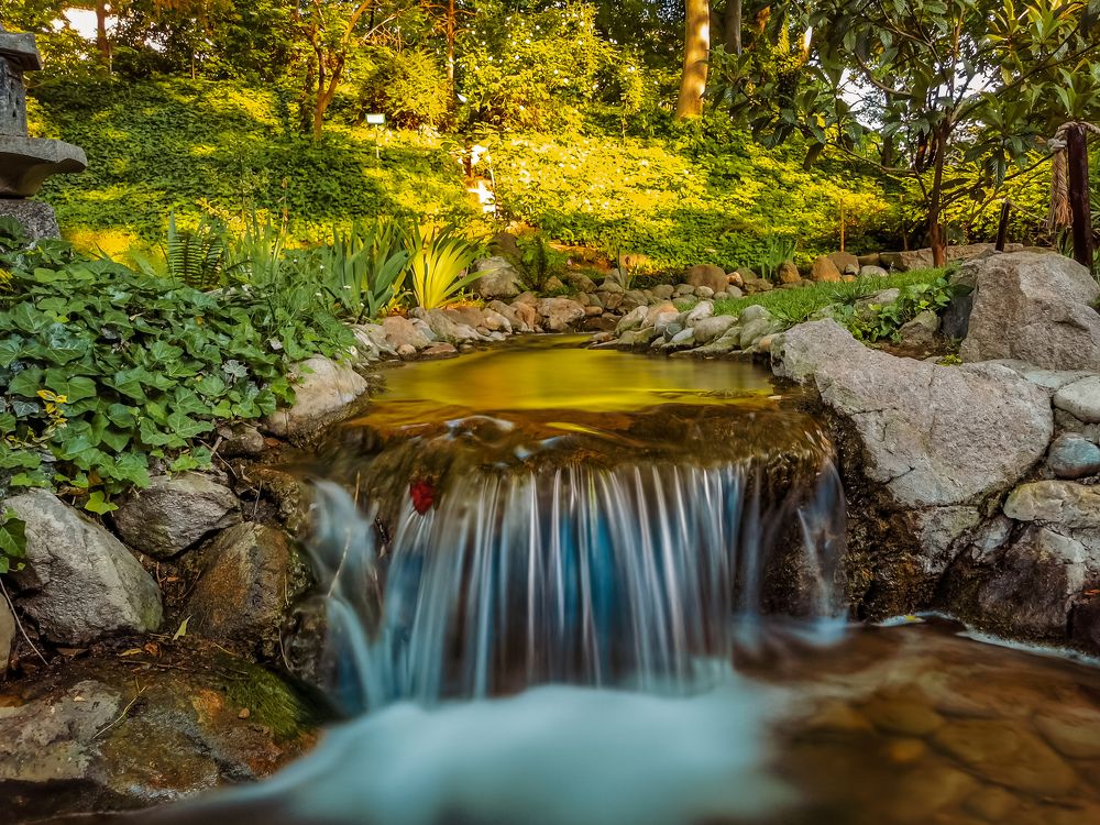 Photograph by Dragan Jekić