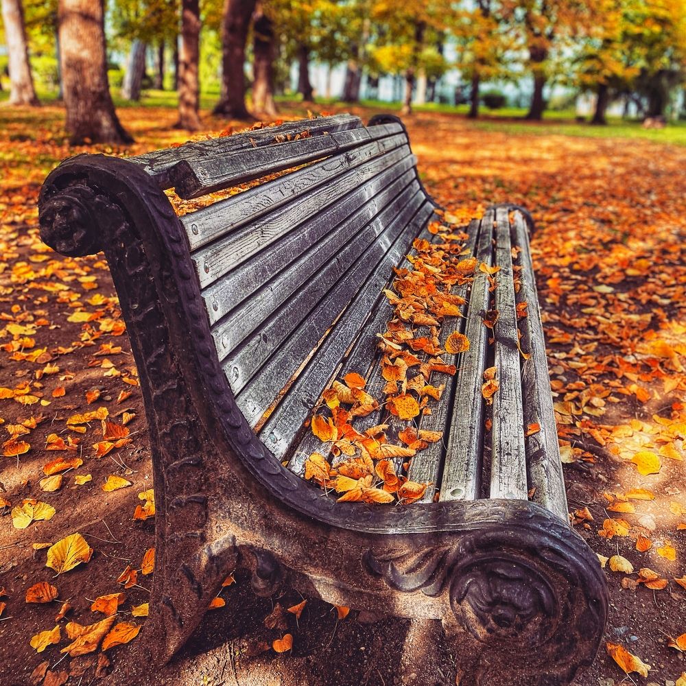 Photograph by Lasha Chkhaidze