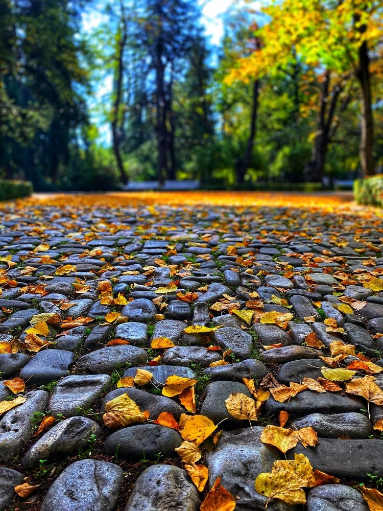 Photograph by Lasha Chkhaidze