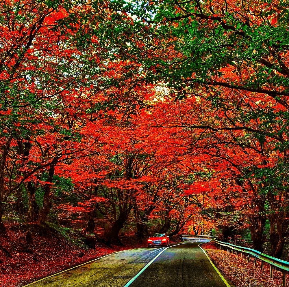 Photograph by Lasha Chkhaidze