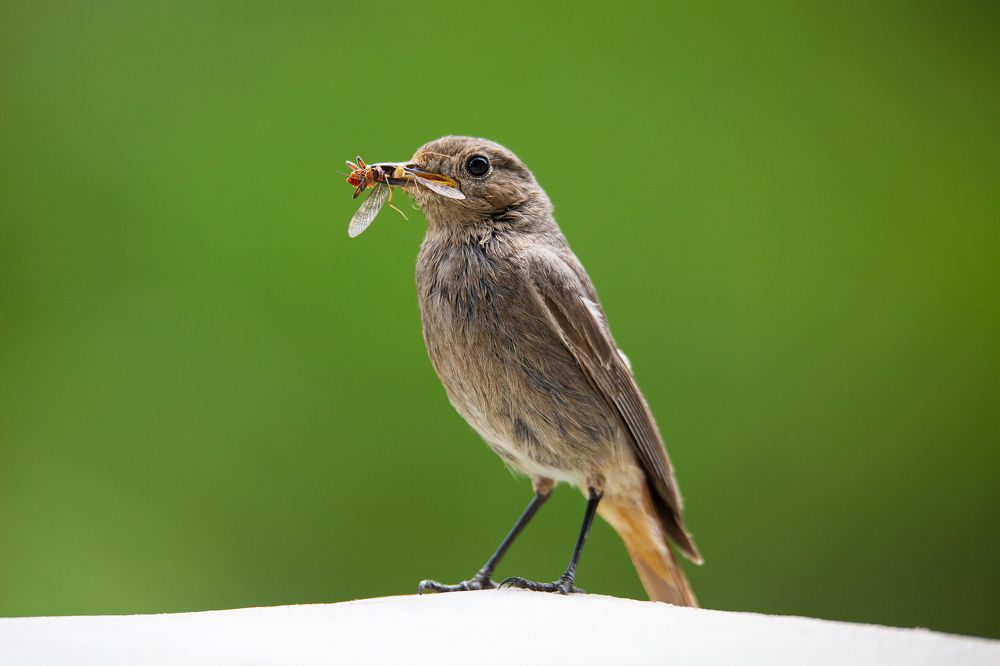 Photograph by Marcin Mirek
