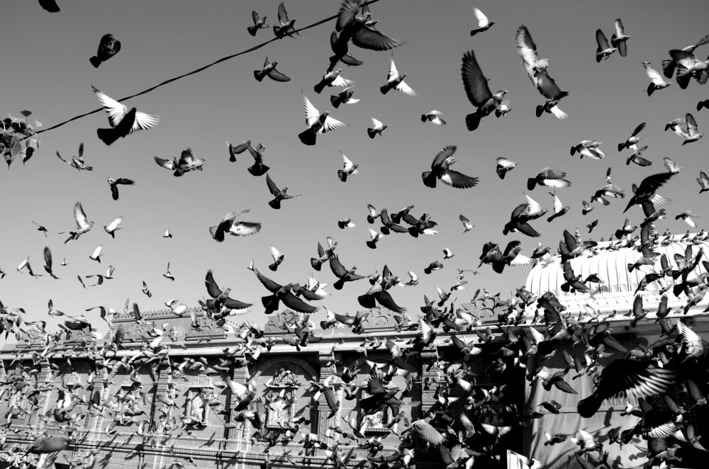 Photograph by Kapil Parmuwal