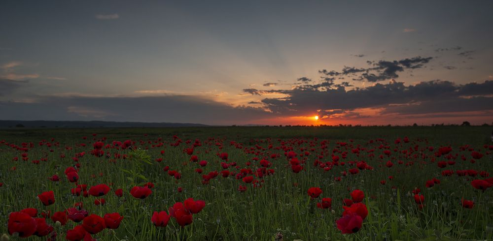 Сейчас погаснет