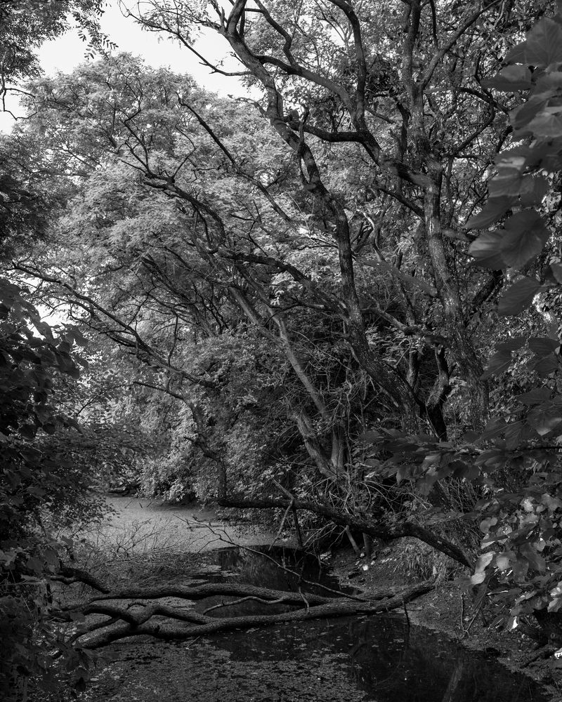 Photograph by Marcelo Cugliari