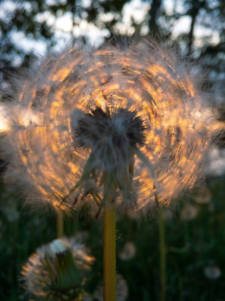 Photograph by Александр Ясинович