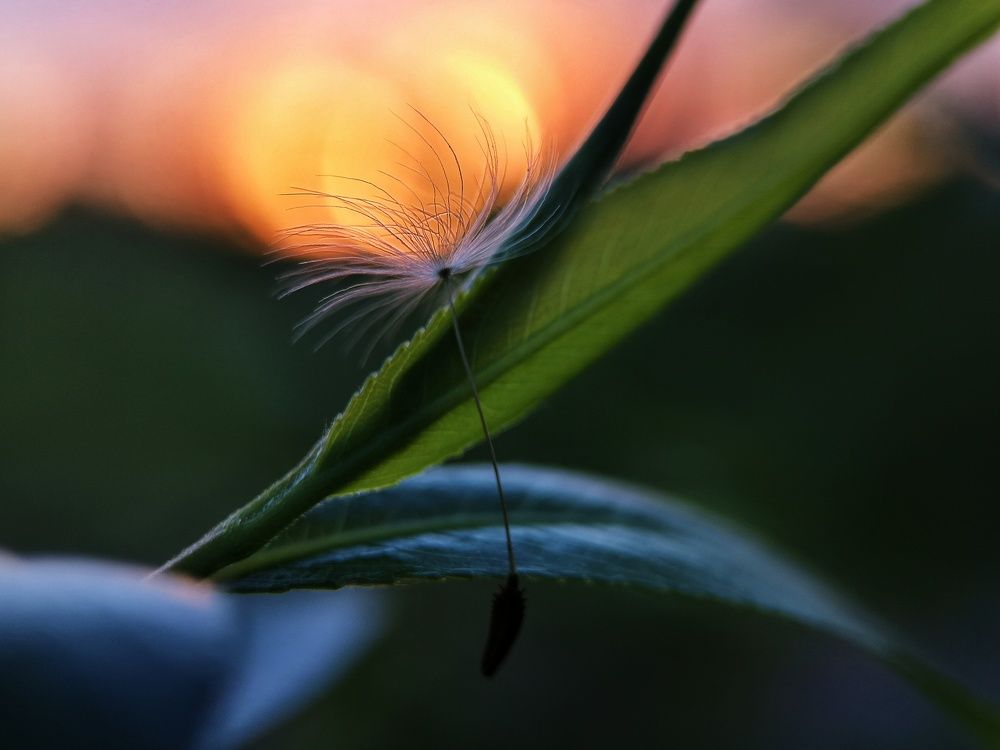 Photograph by Natali