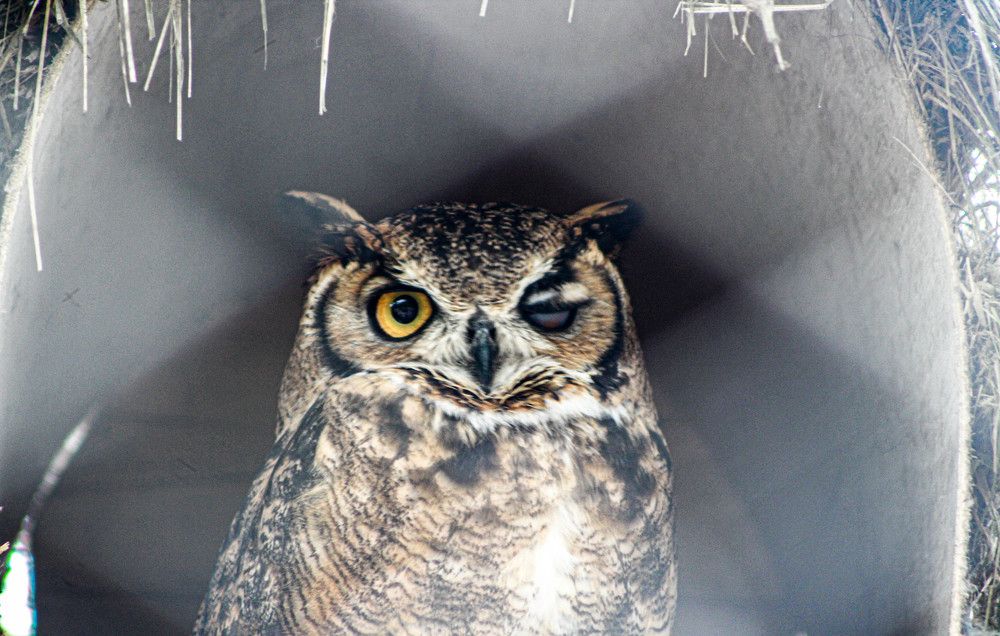 Parque de la Leyendas