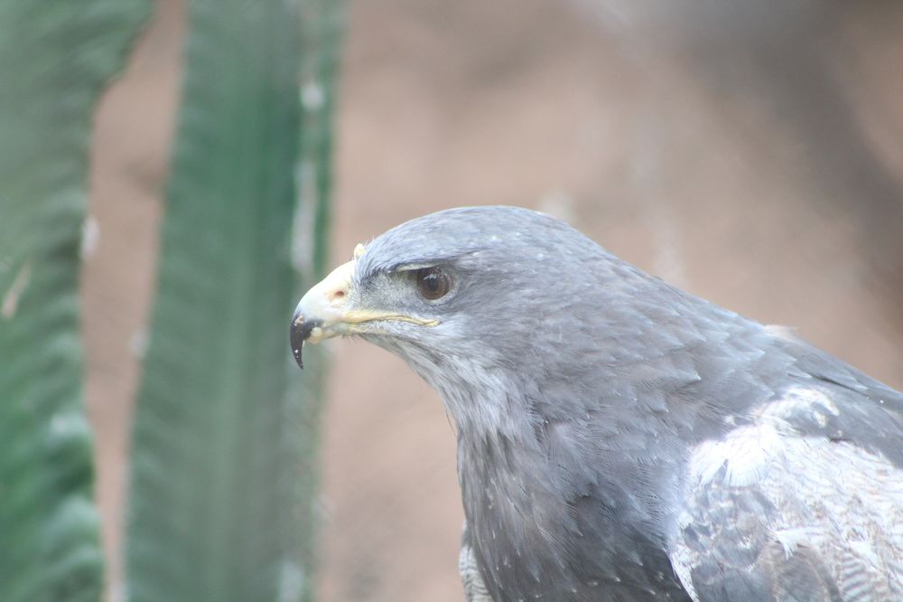 Photograph by Percy David Calderón Garay