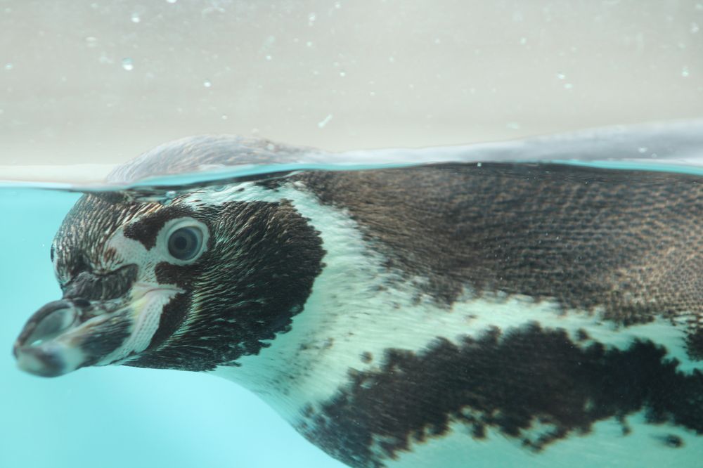 Parque de la Leyendas