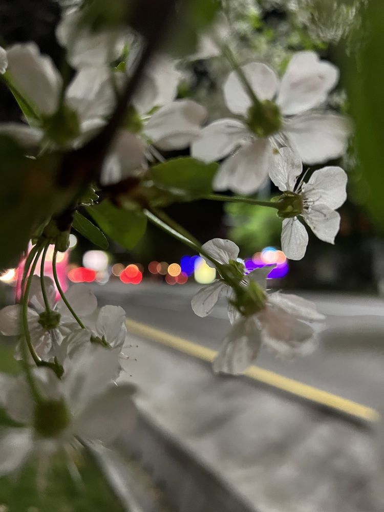 Photograph by Alena Kochergina