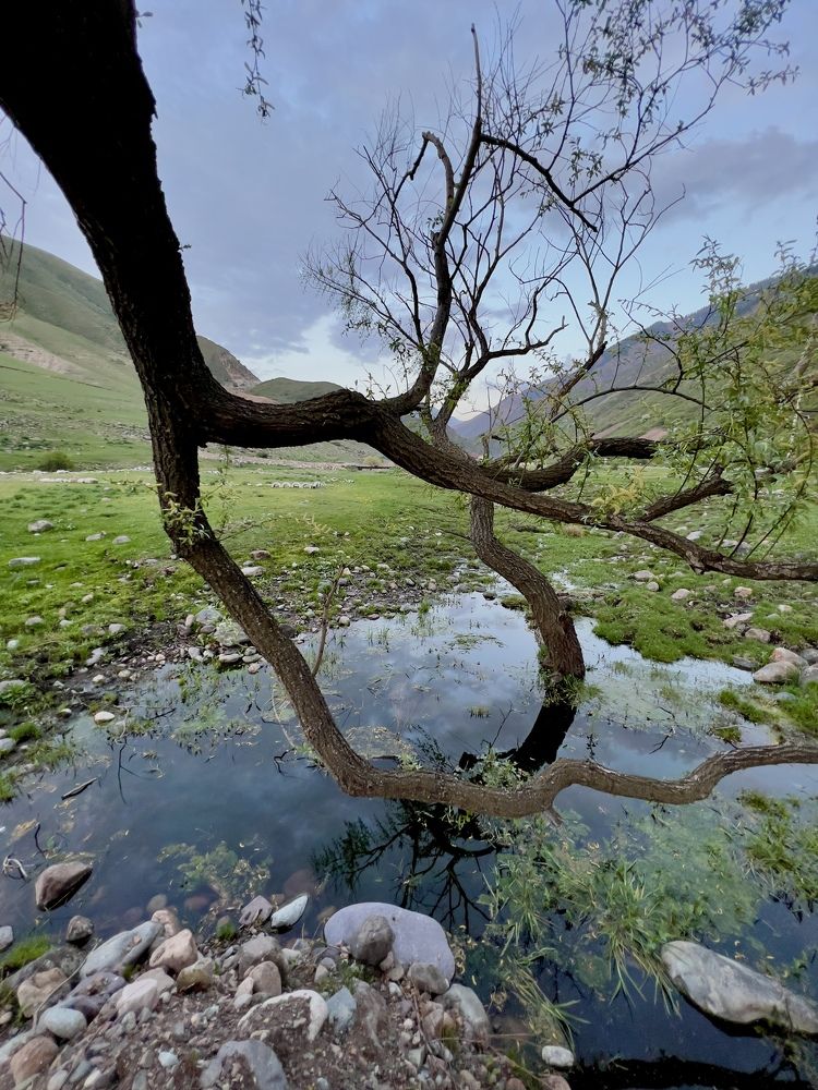 Photograph by Alena Kochergina