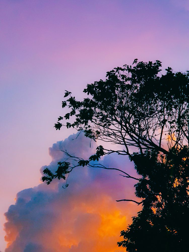 Photograph by Meryll Jo Rado