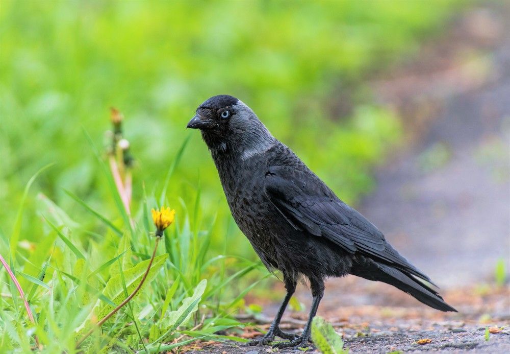 Photograph by Алексей Сиваков