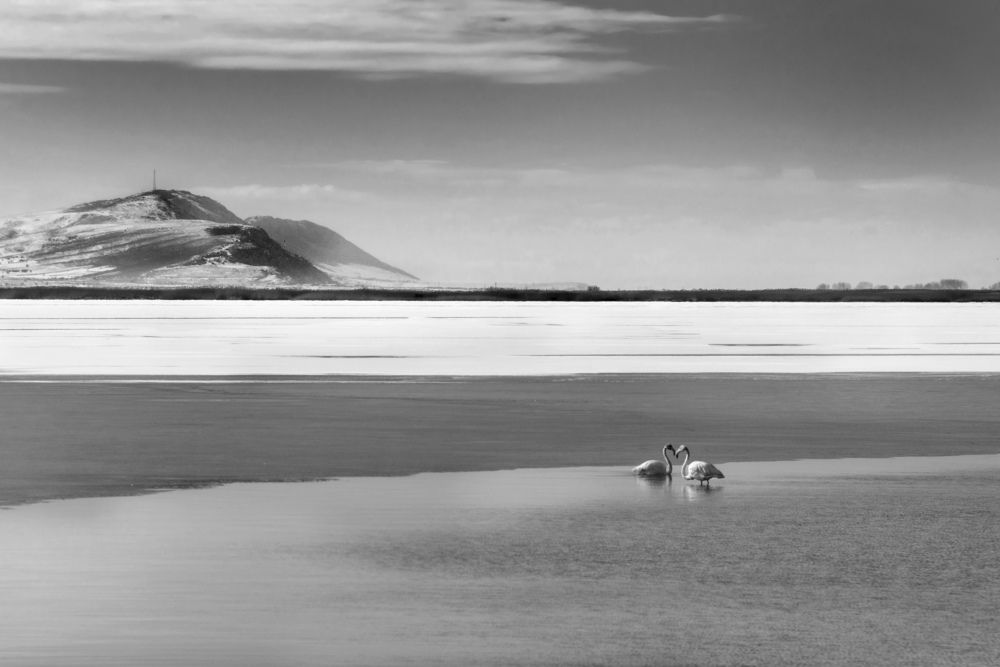 Photograph by Bahir DIBEKOGLU