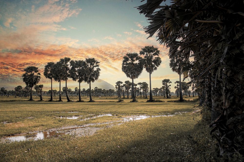 Photograph by Phuongs NguyenThanh