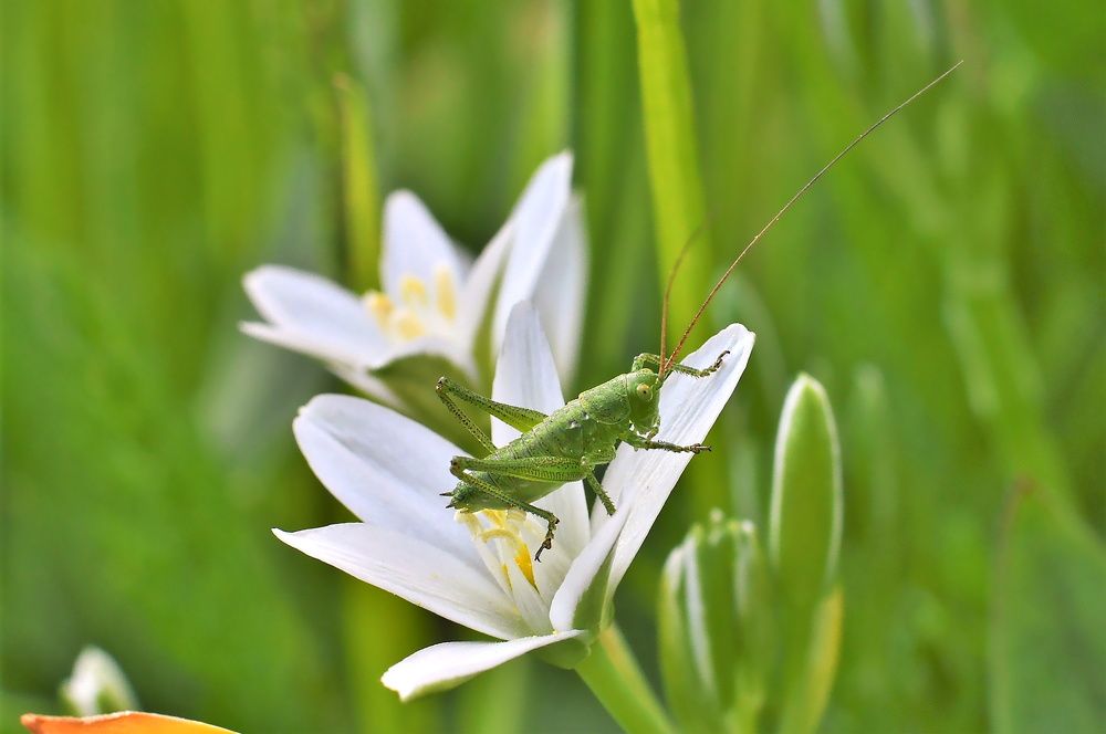 Photograph by Алексей Сиваков