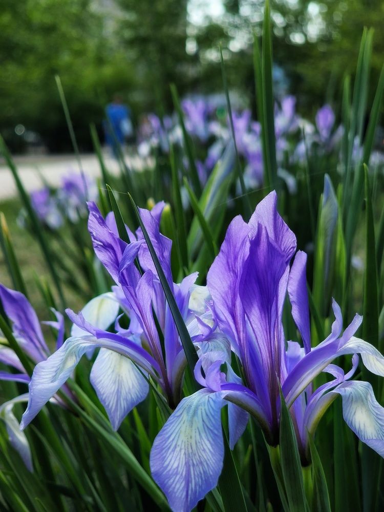 Photograph by Елена Федоткина