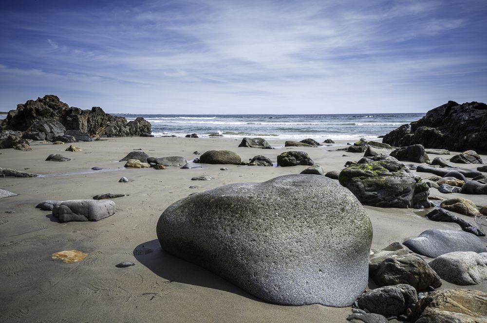 Photograph by Ryan Constable