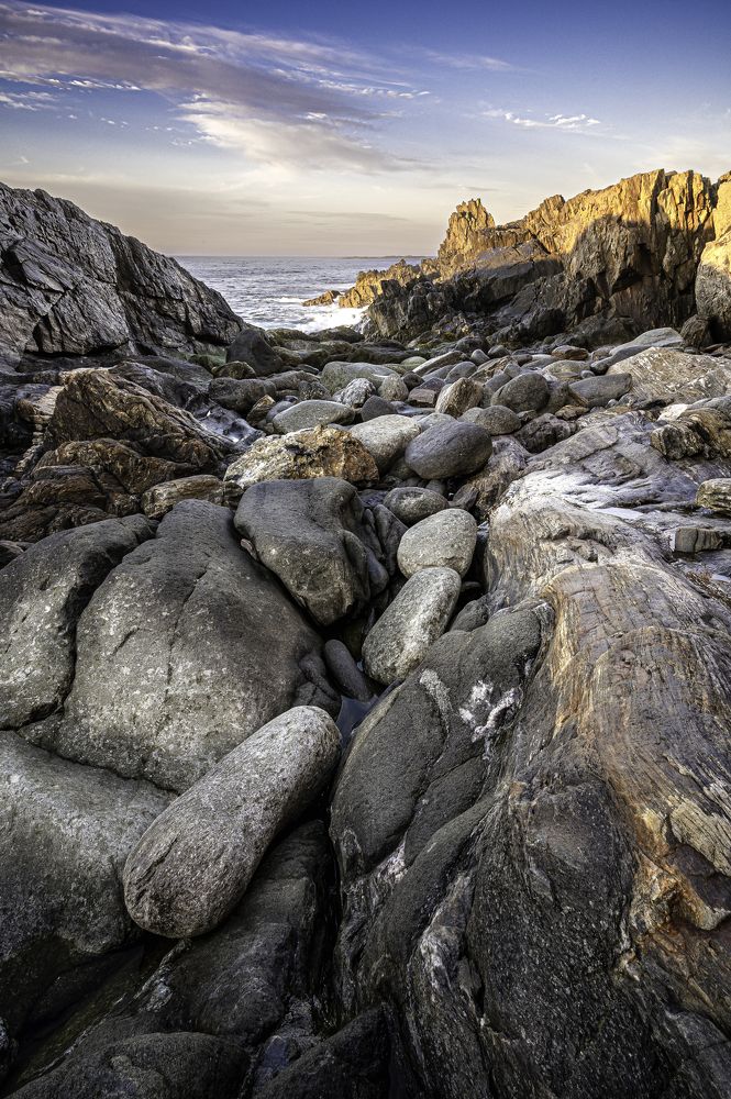 Photograph by Ryan Constable