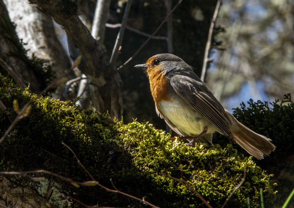 Photograph by Будаква Сергей
