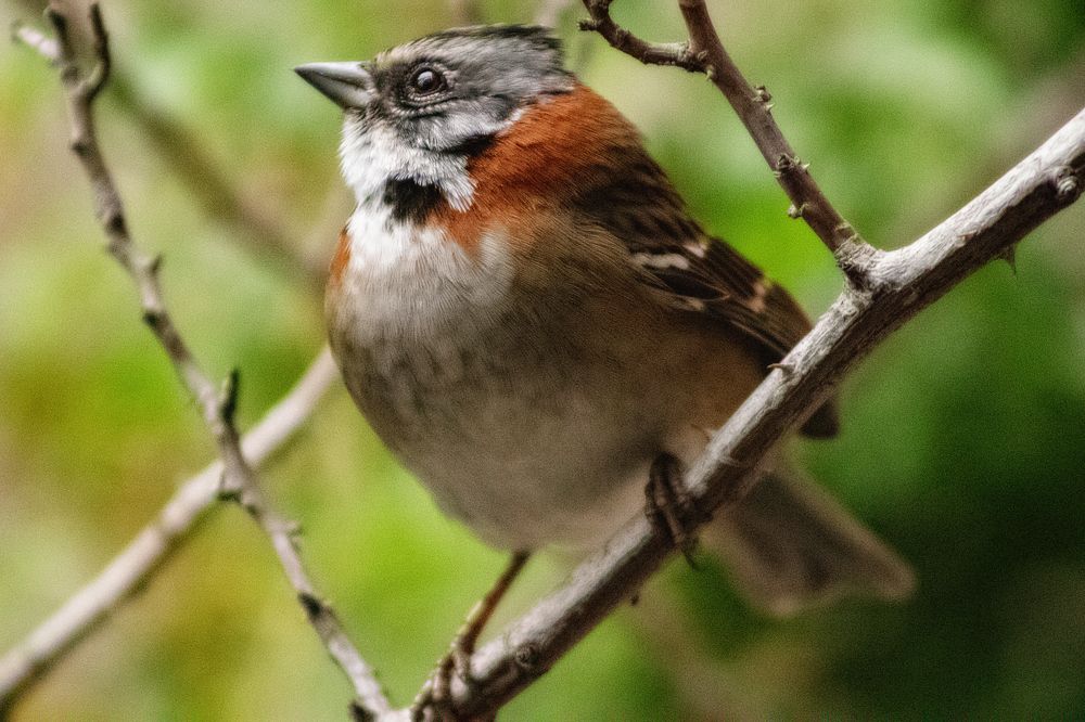 Photograph by Enrique Reyes