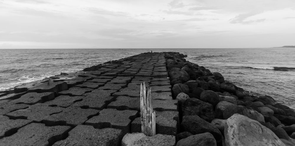 Photograph by Armando Lopez-Guerrero