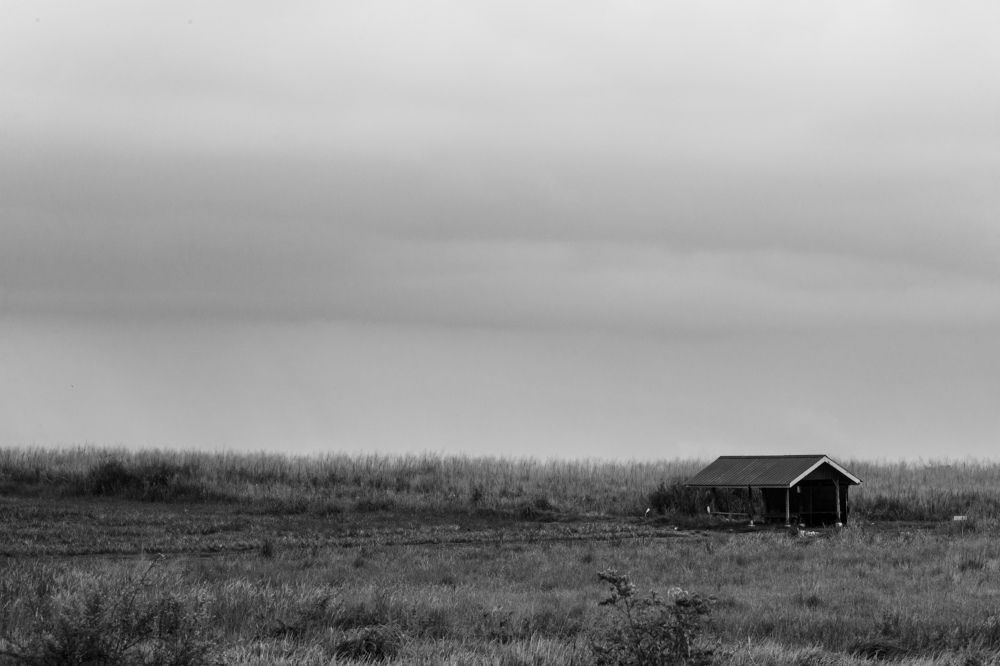 Kampung sungai buloh