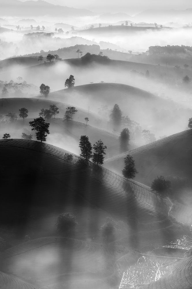 Photograph by Cao Tuan