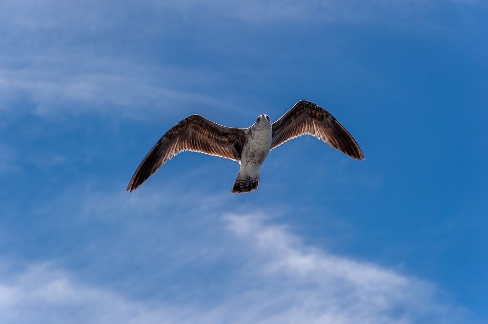 Photograph by Armando Lopez-Guerrero