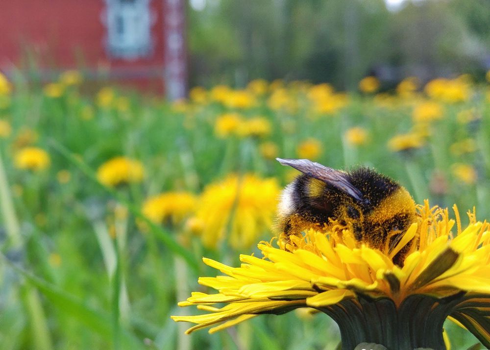 Фотография автора владимир шаронов