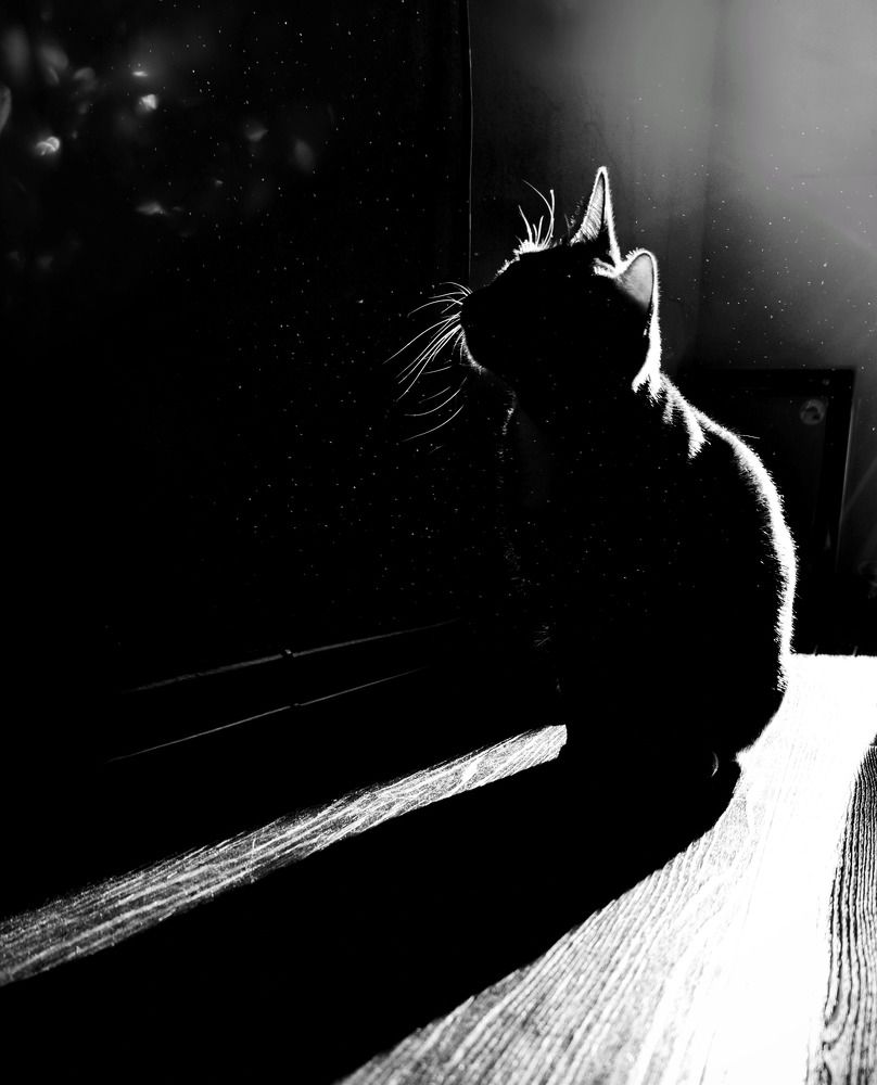 Photograph by Andrey Matveenko