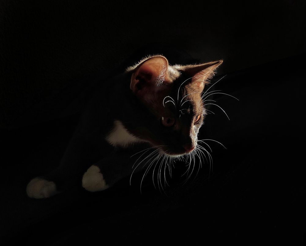 Photograph by Andrey Matveenko