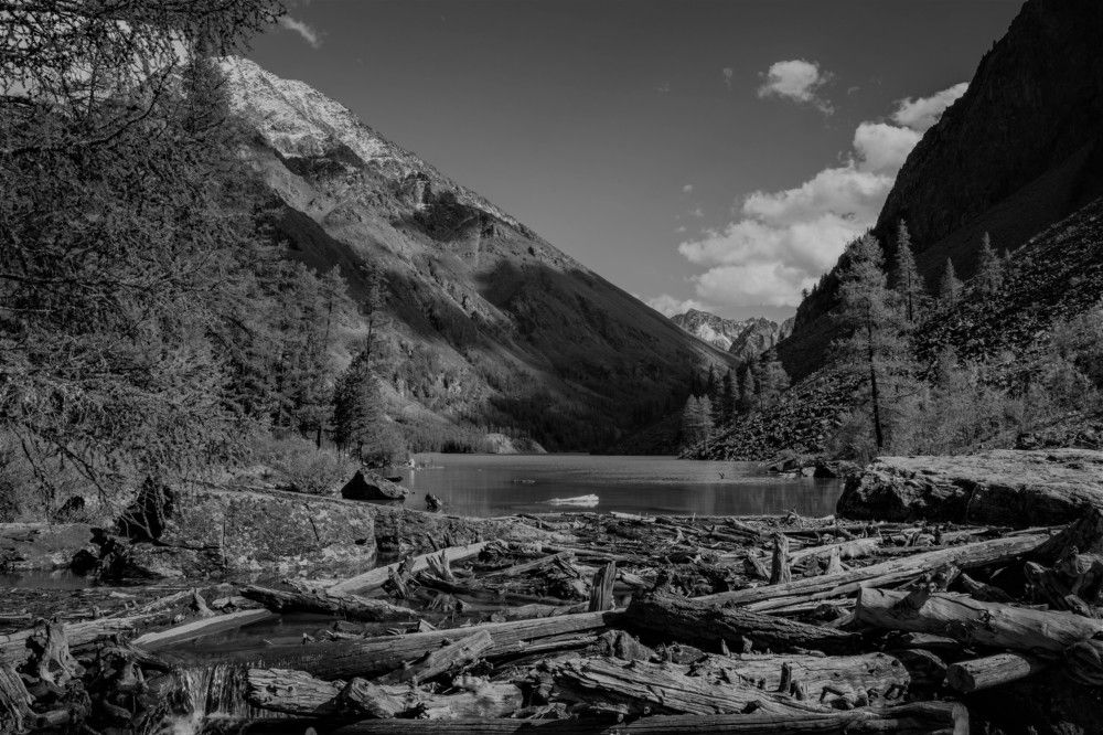 Photograph by Владимир Белов