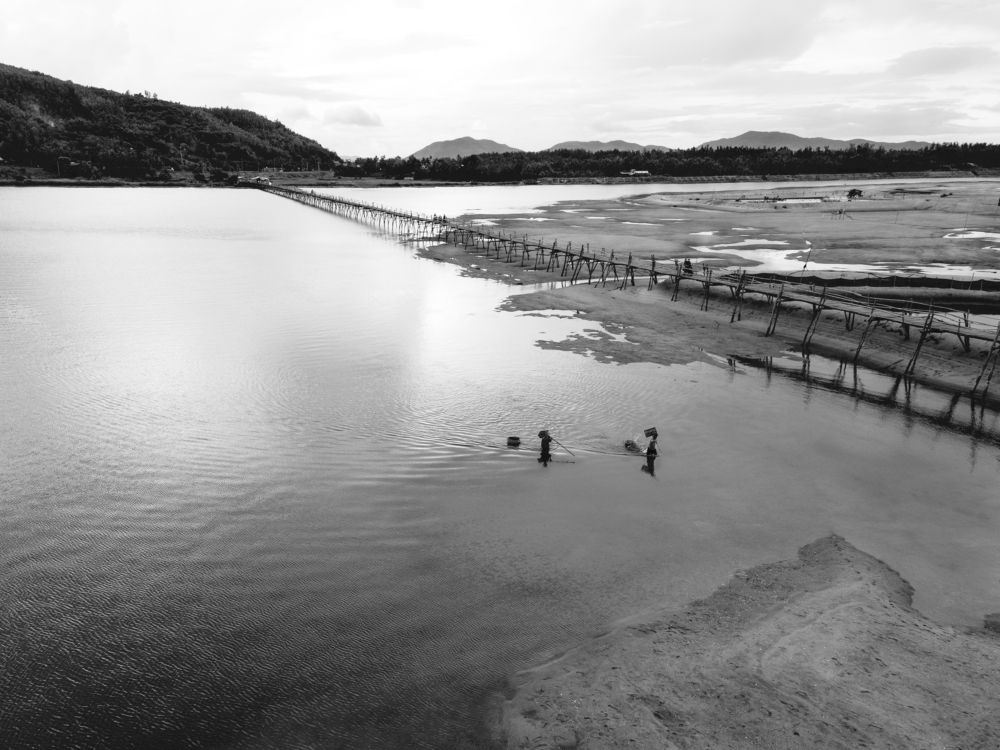 Photograph by phong nguyen