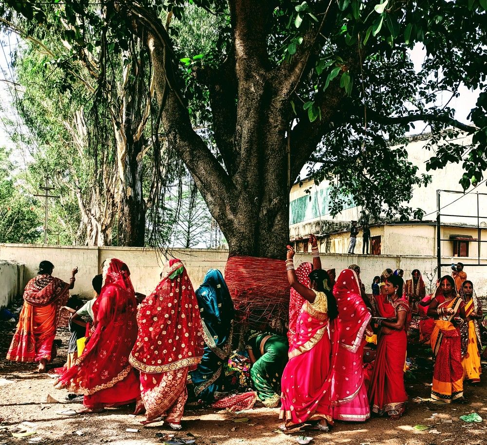 Фотография автора Santanu Dasgupta