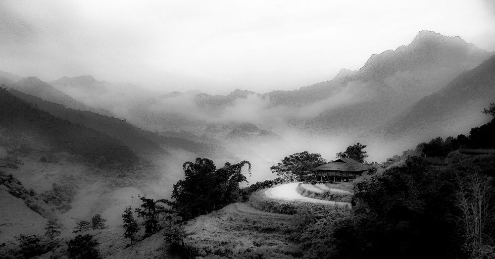 Photograph by Phuongs NguyenThanh