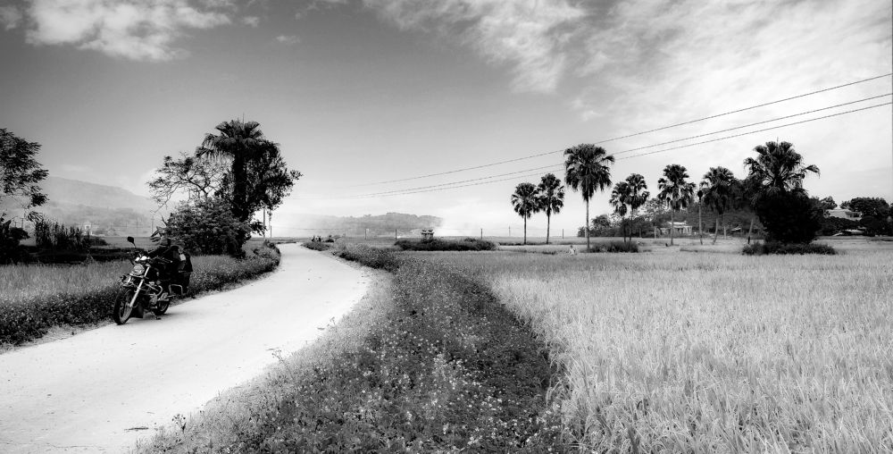 Photograph by Phuongs NguyenThanh