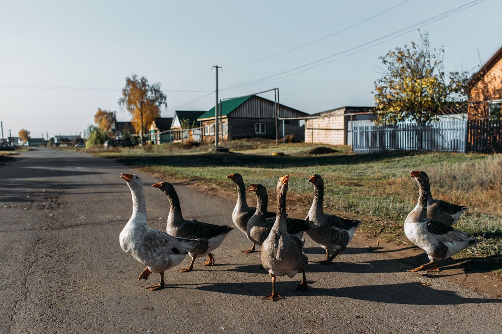 Photograph by Надежда Раскина