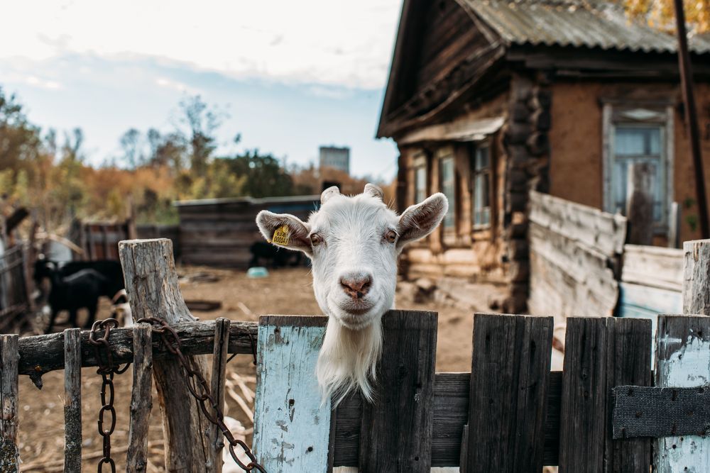 Photograph by Надежда Раскина