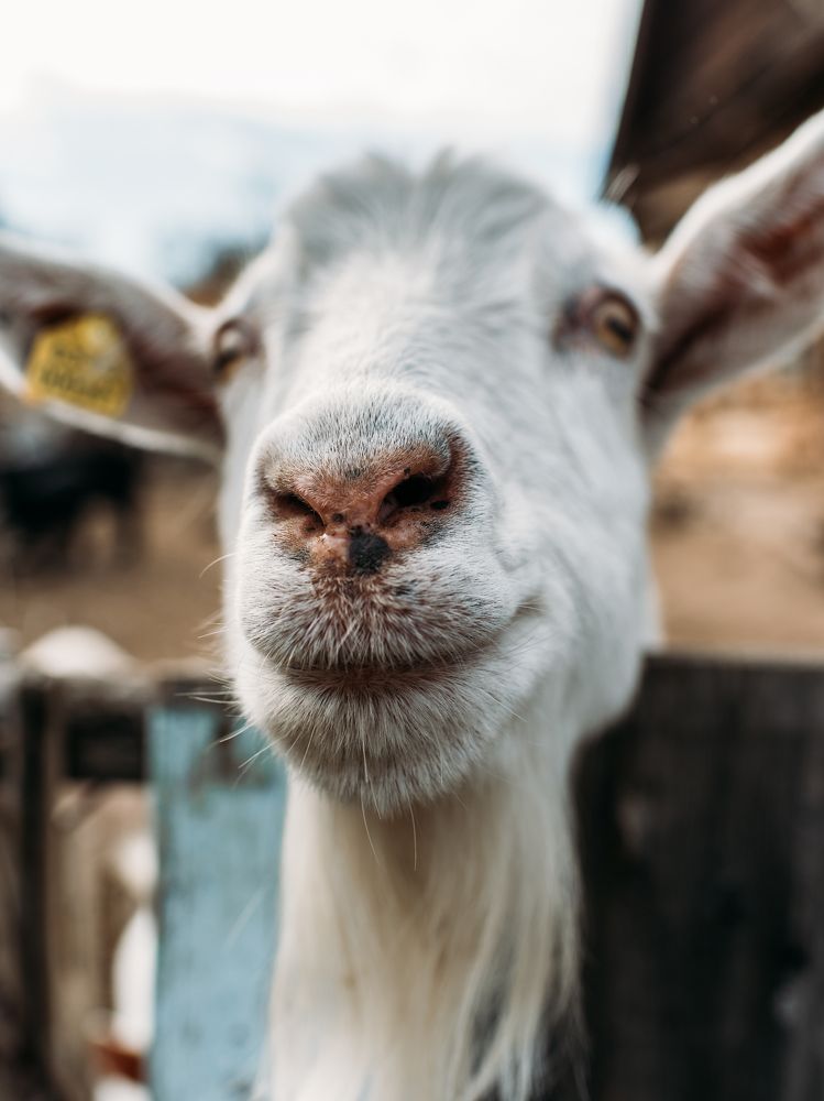 Photograph by Надежда Раскина