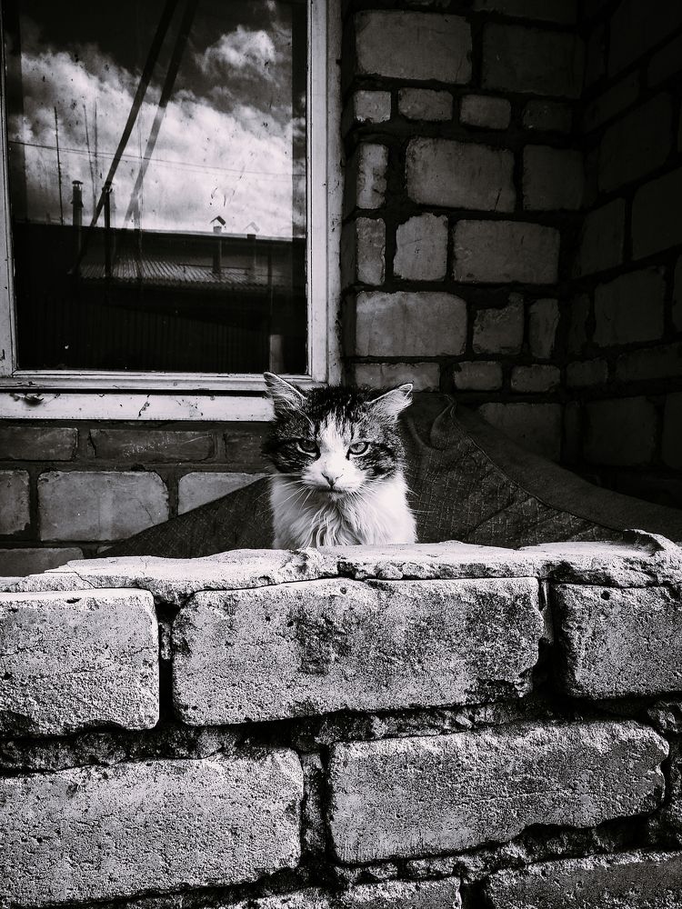 Photograph by Надежда Раскина