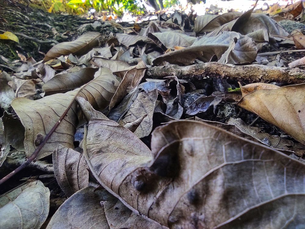 Photograph by Husayn RIUHAIRIU