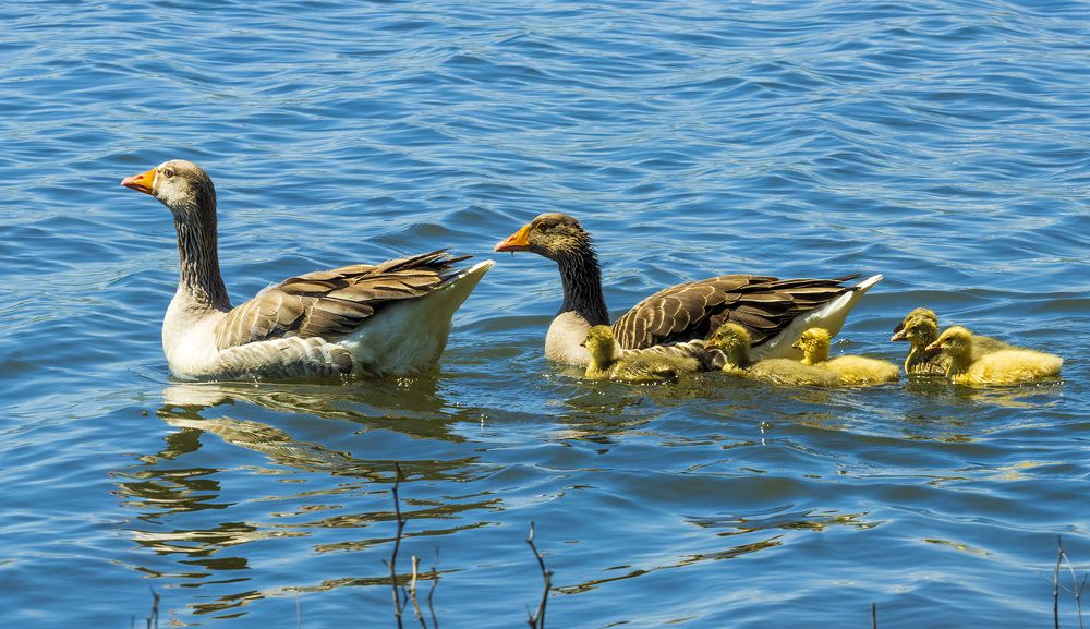 Photograph by Alex Kalpus